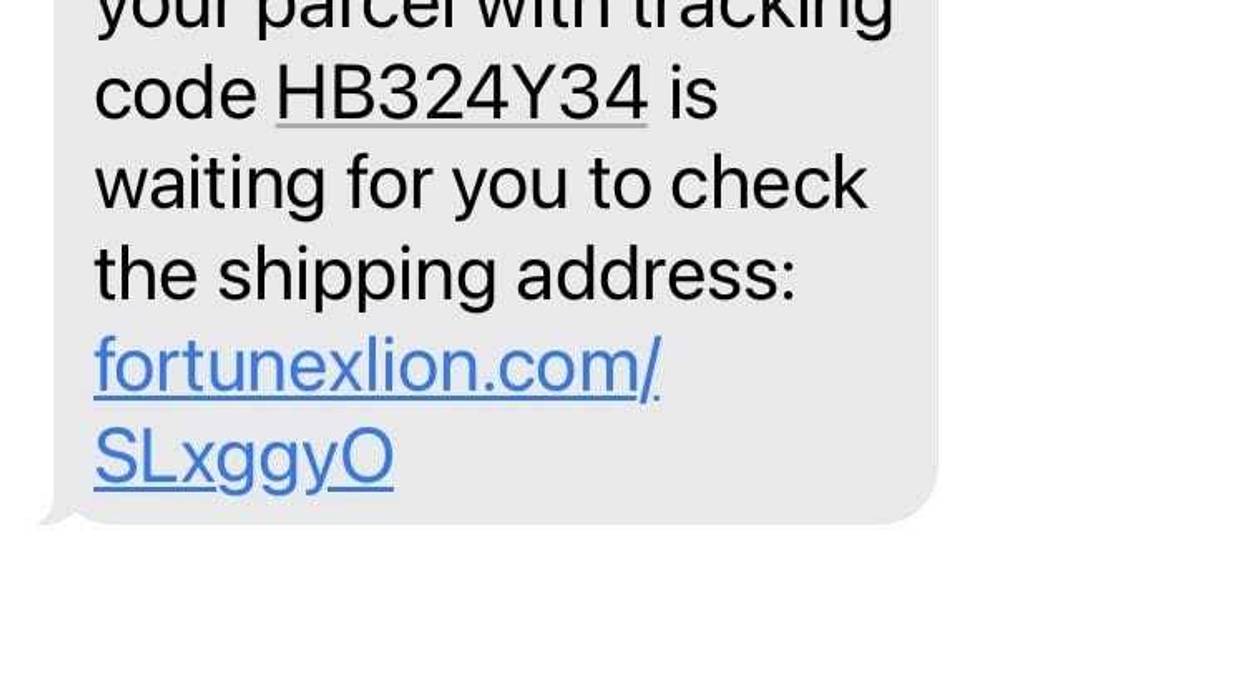 Screenshot of Sample Text Scam