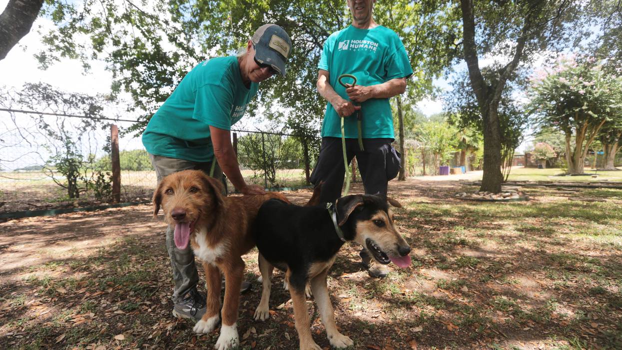 Screwworm Animal Shelters