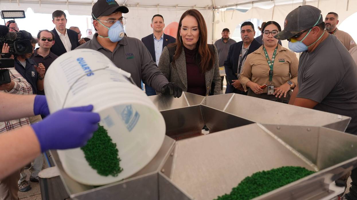 Screwworm Prevention