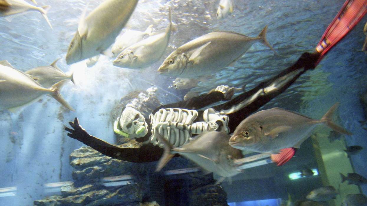 Scuba Diver Underwater Costume