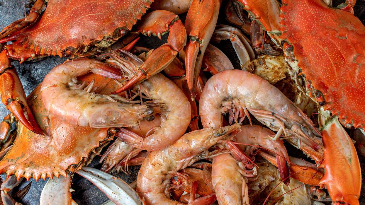 Seafood