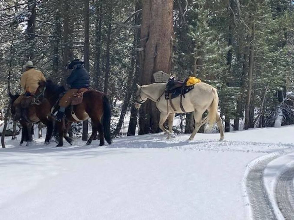 Searchers on horseback.