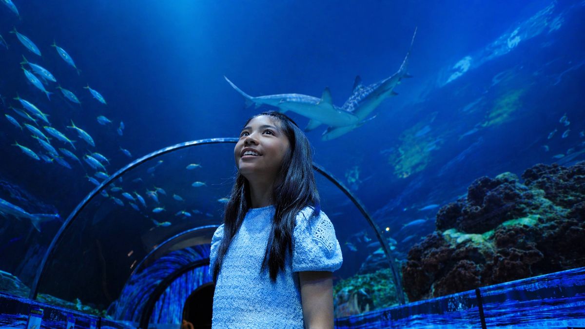 SeaWorld San Diego