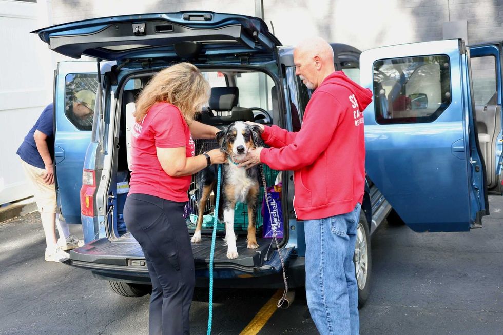 Second City Canine Rescue