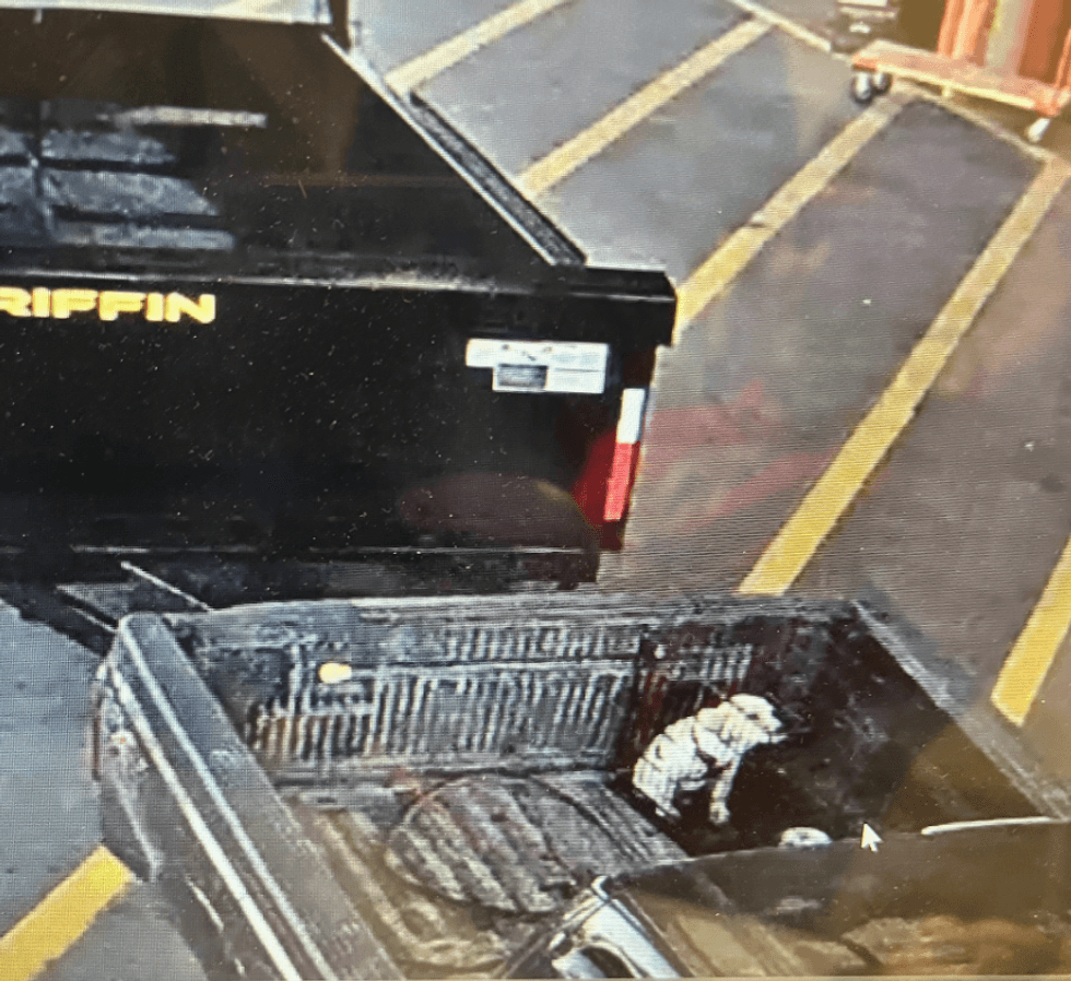 Security cameras captured an image of the dog before it was dropped off.