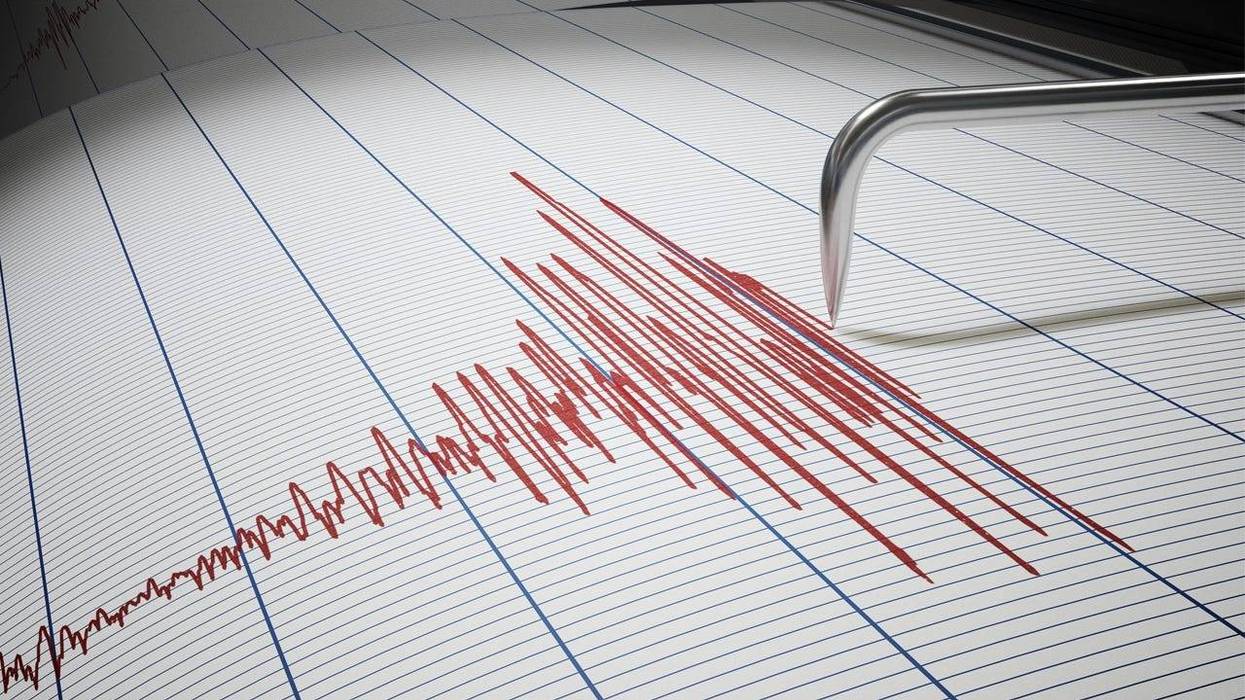 Seismic Earthquake or Lie Detector Test
