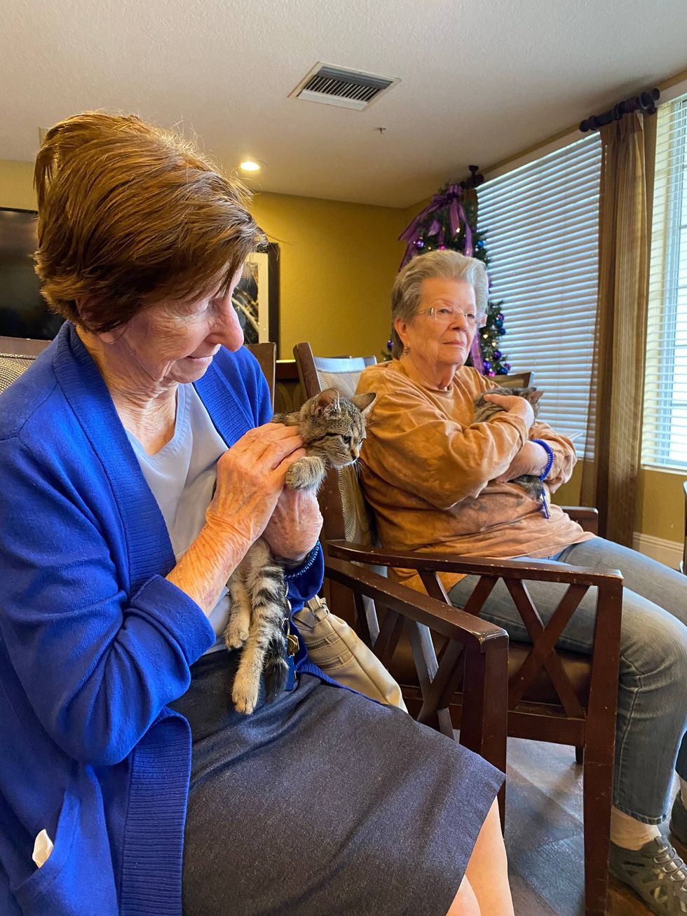 Senior citizens holding kittens