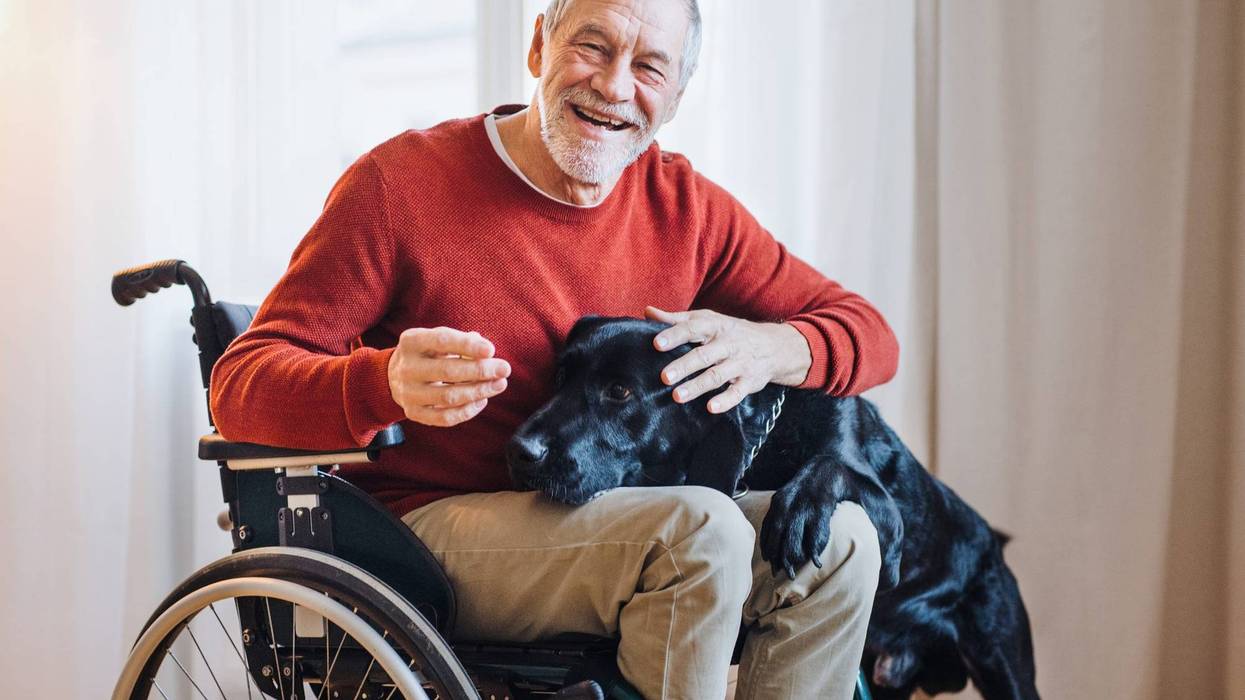 senior man in wheelchair indoors playing with a pet dog at home