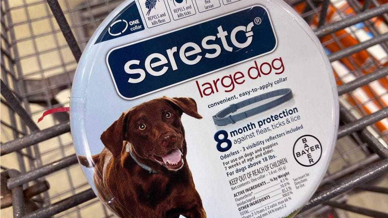 Seresto Flea Collar
