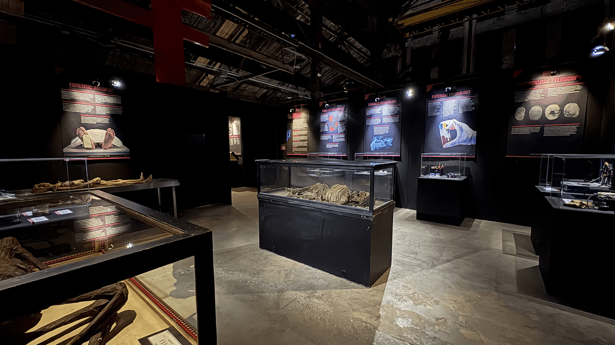 New true crime exhibit in Chicago features thousands of artifacts related to notable serial killers
