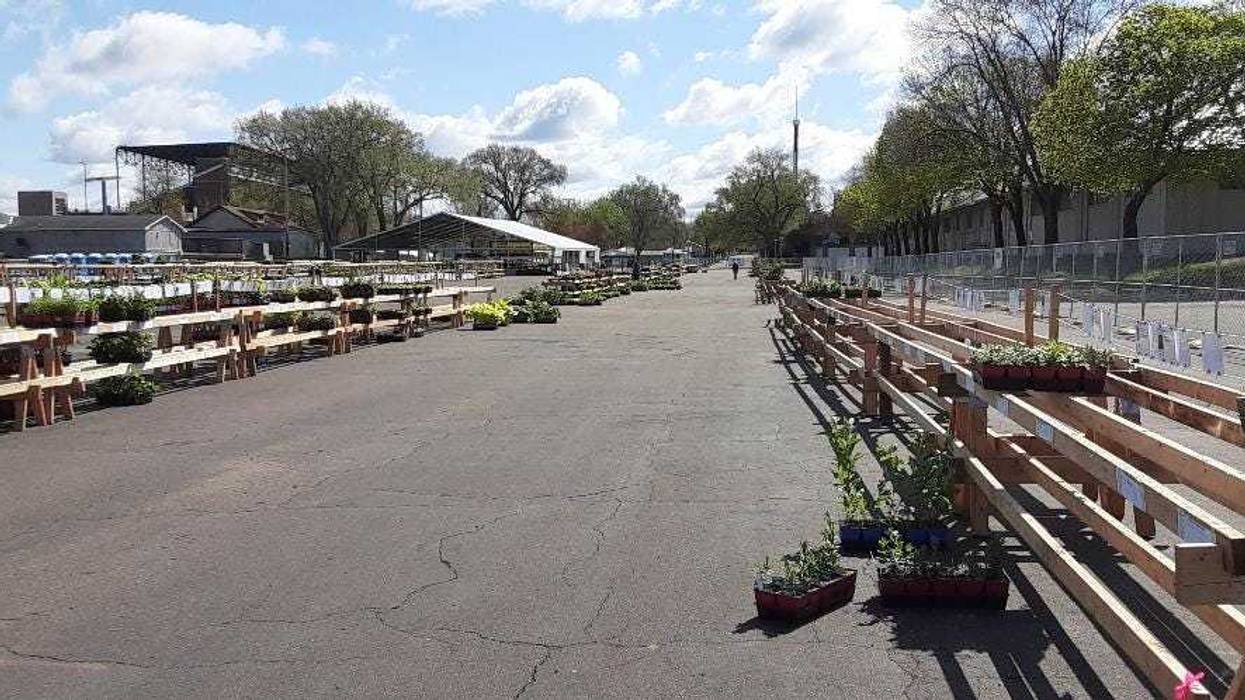 Set up for Friends School Plant Sale