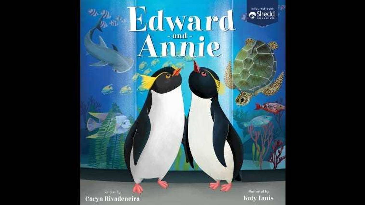 Shedd Aquarium, in partnership with Tommy Nelson, announced Thursday a new picture book, “Edward and Annie: A Penguin Adventure,” that illustrates the penguin field trips that went viral as the COVID-19 pandemic first emerged.