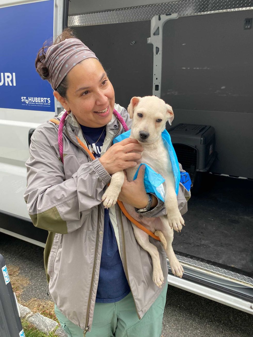 Shelter dog brought from Florida