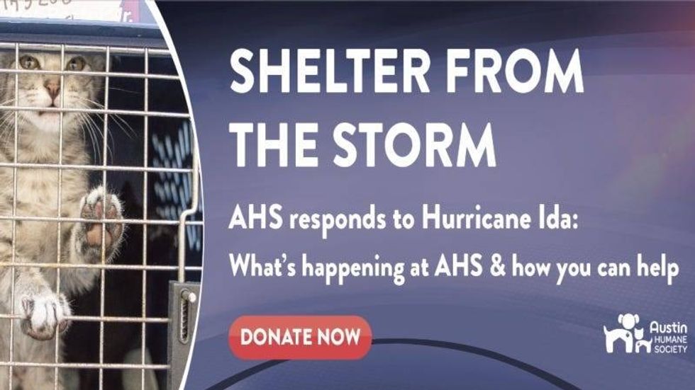 Shelter from the Storm AHs 092221
