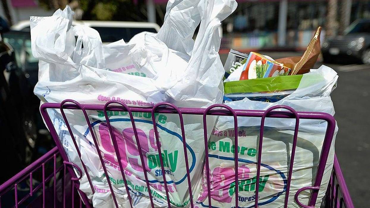Shoppers use plastic grocery bags after shopping at the 99 Cents Only Store on June 18, 2013 in Los Angeles, California.