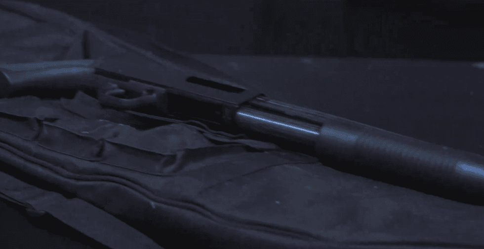 shotgun