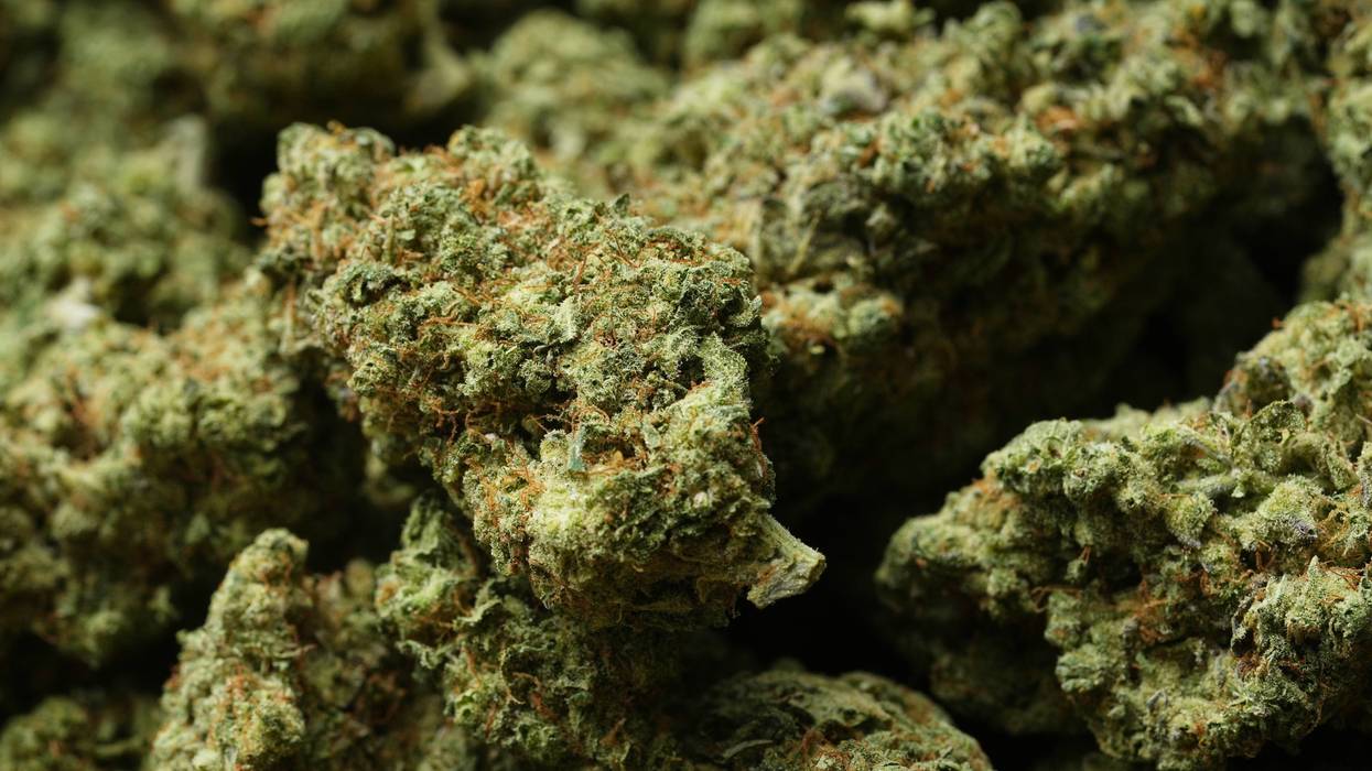 Trump reclassifies state-licensed medical marijuana as a less-dangerous drug in a historic shift