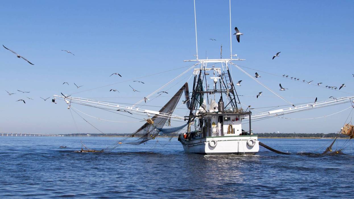 Shrimp Boat