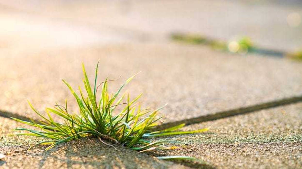 Sidewalk