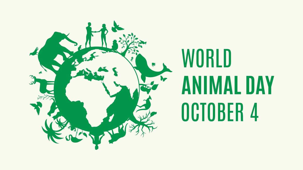 Silueta del planeta Tierra con icono de fauna y flora. Vector icono ambiental. Cartel Día de los animales, 4 de octubre. Día importante