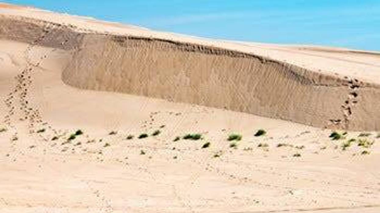 Silver Lake State Park sand dunes.