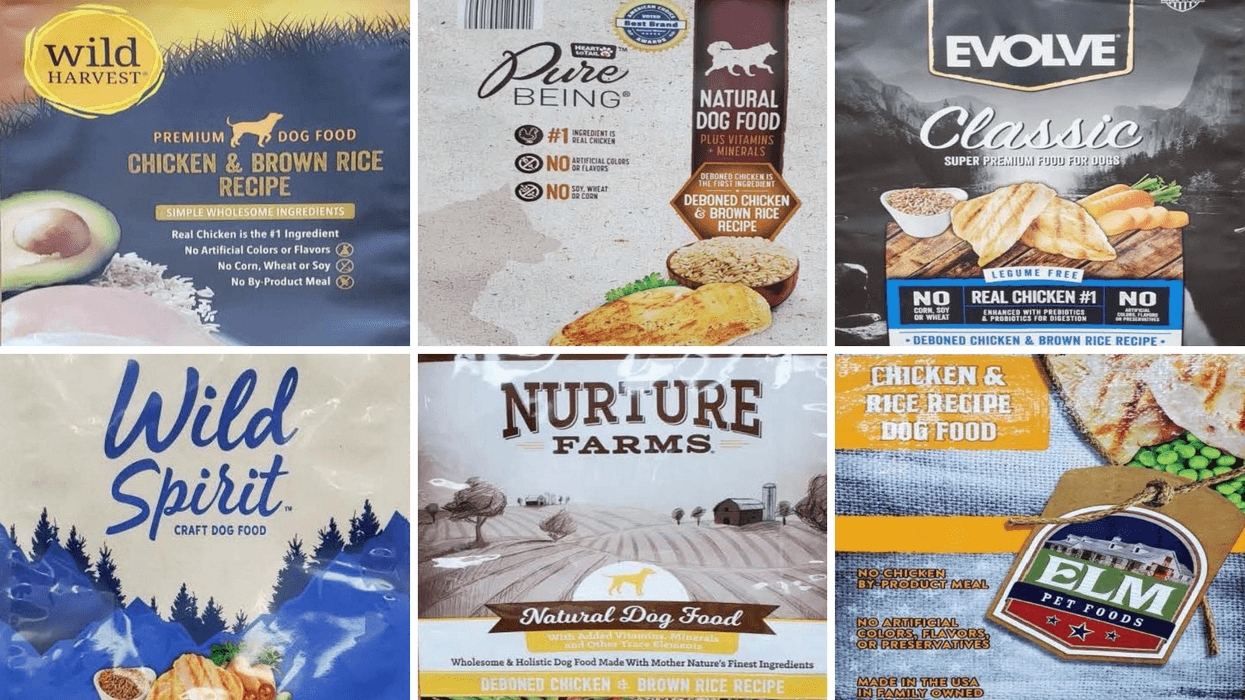 Six dog food labels