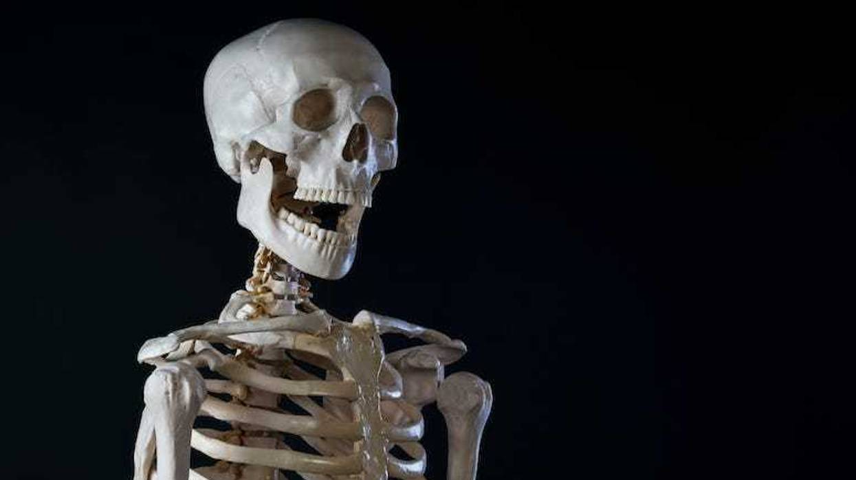 Skeleton, Black Background