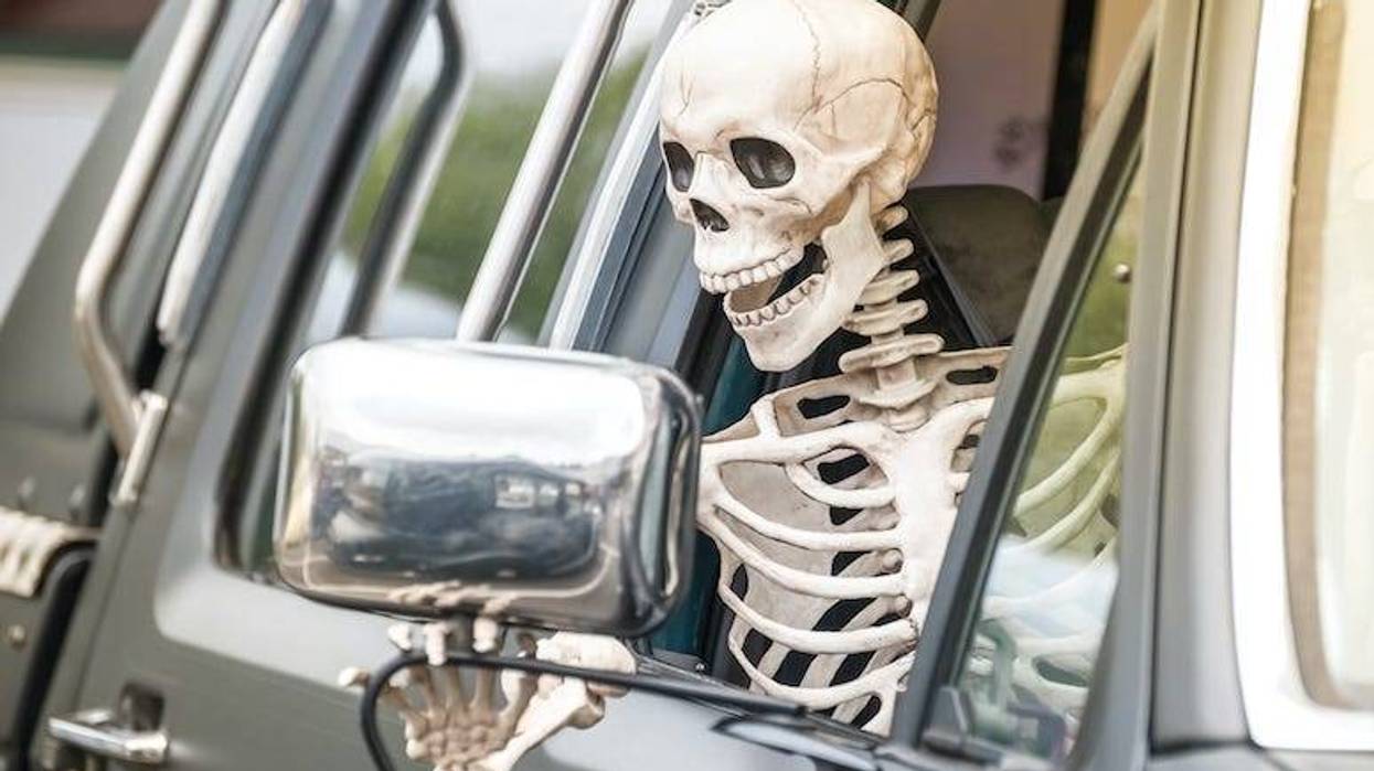 Skeleton, Driving, Drive Thru, Car