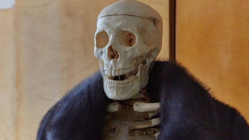 Skeleton Getty Images