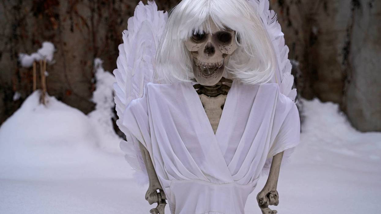 skeleton of an angel in white snow