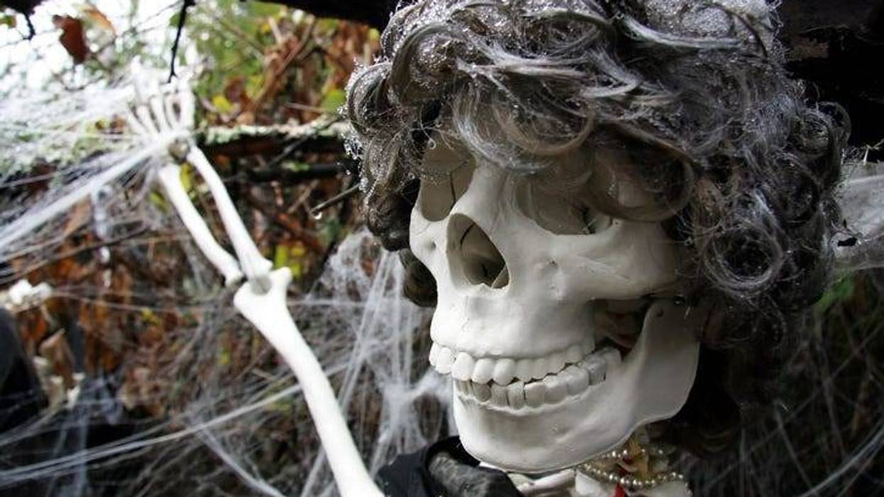 Skeleton Wig