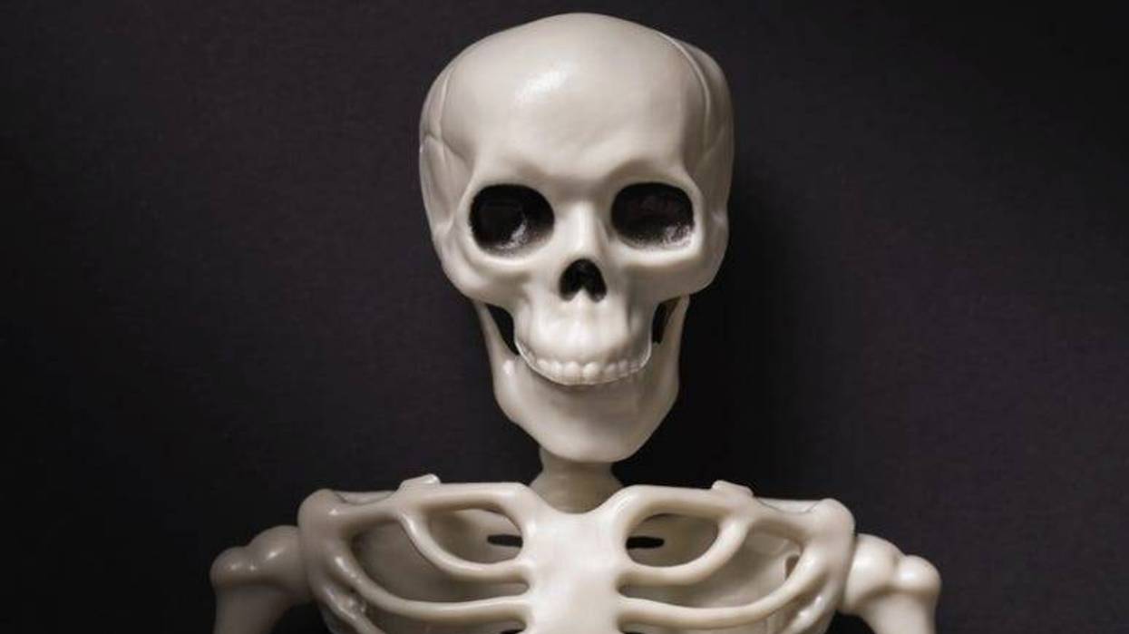 Skeleton