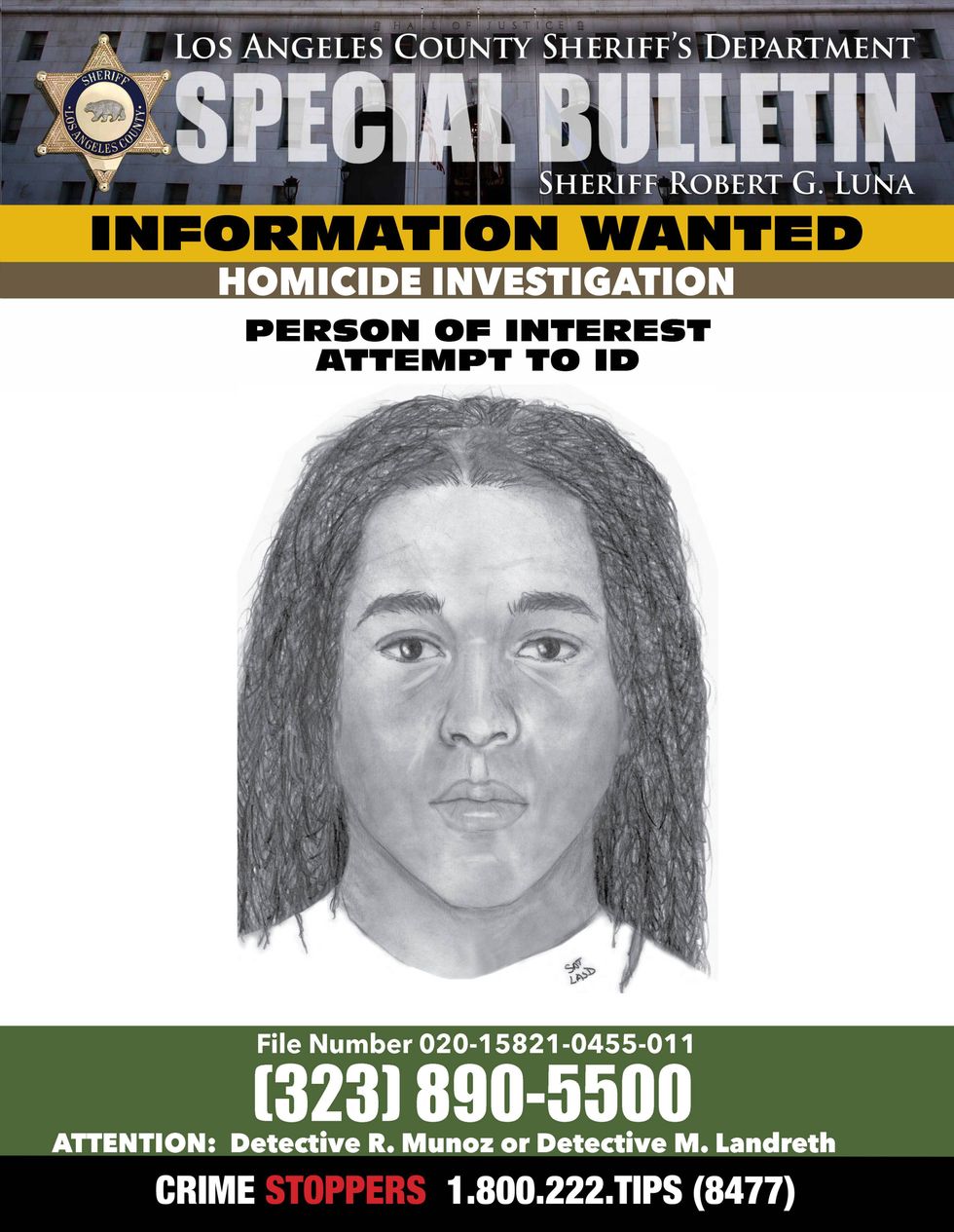 Sketch of suspect