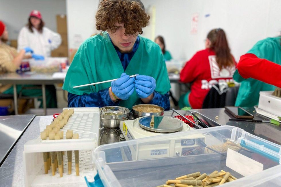 Skyler Berry makes pre-rolled joints at the Robust Cannabis production facility in Cuba, Mo. on May 2, 2023