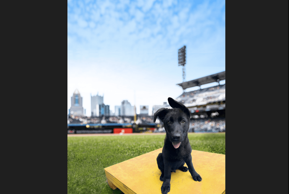 Slugger
