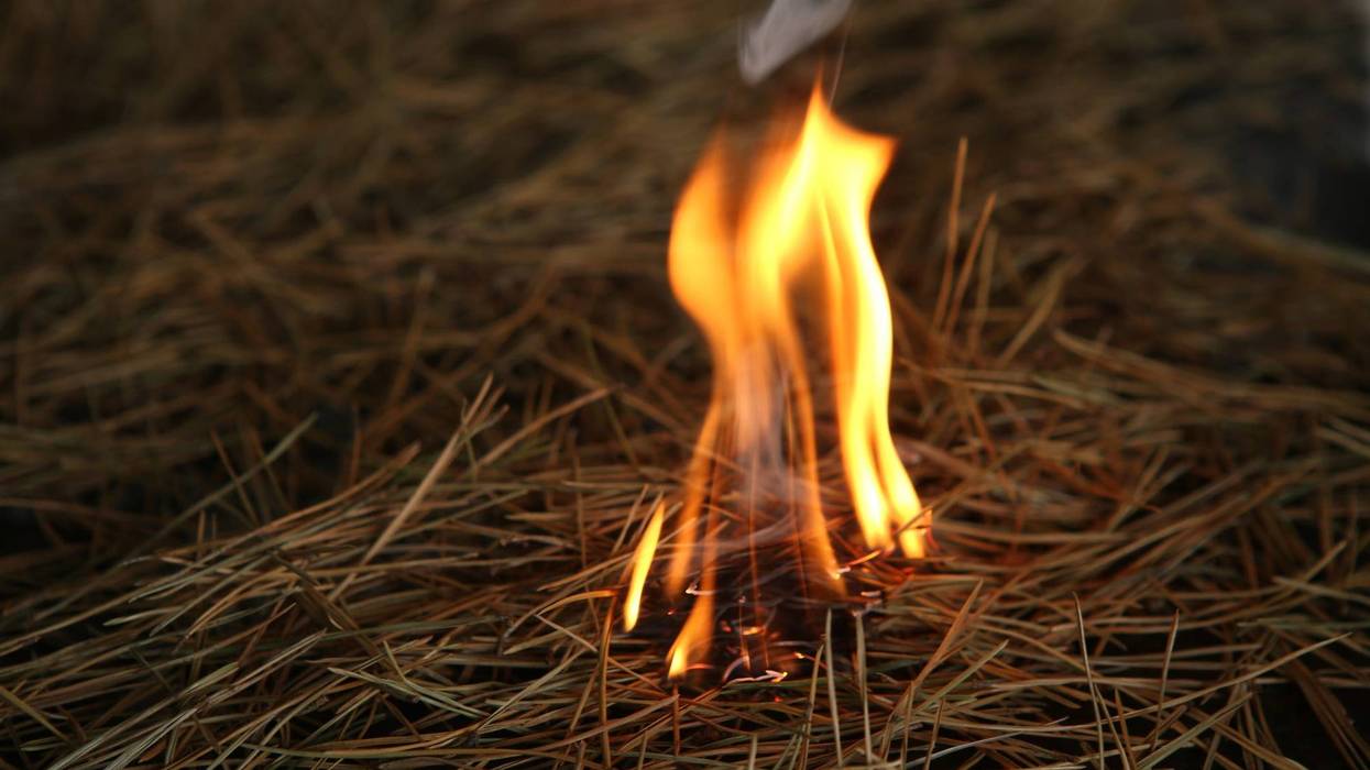 Small Grass Fire