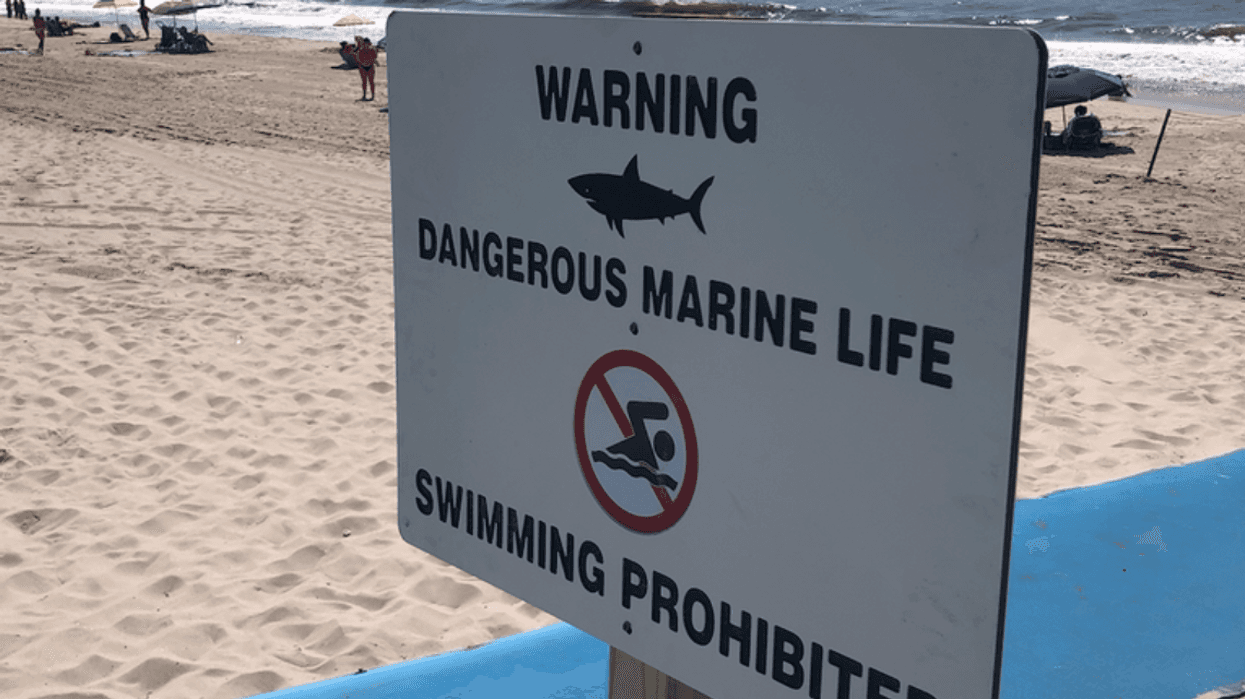 Smith Point Beach on Suffolk County has been closed after a surfer was attacked on Wednesday morning.