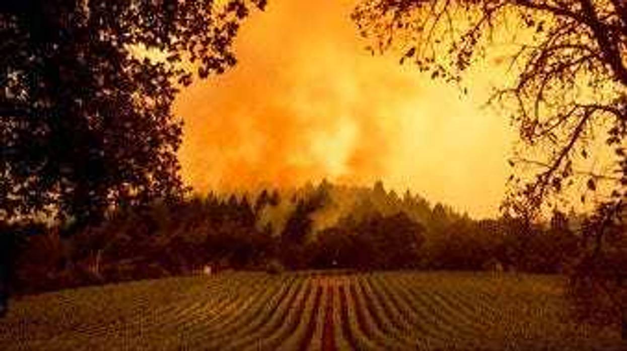Smoke rises over a vineyard as the Glass Fire burns, Monday, Sept. 28, 2020, in Calistoga, Calif. (AP Photo/Noah Berger)