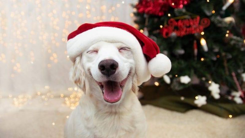 smrm1977 Getty Images