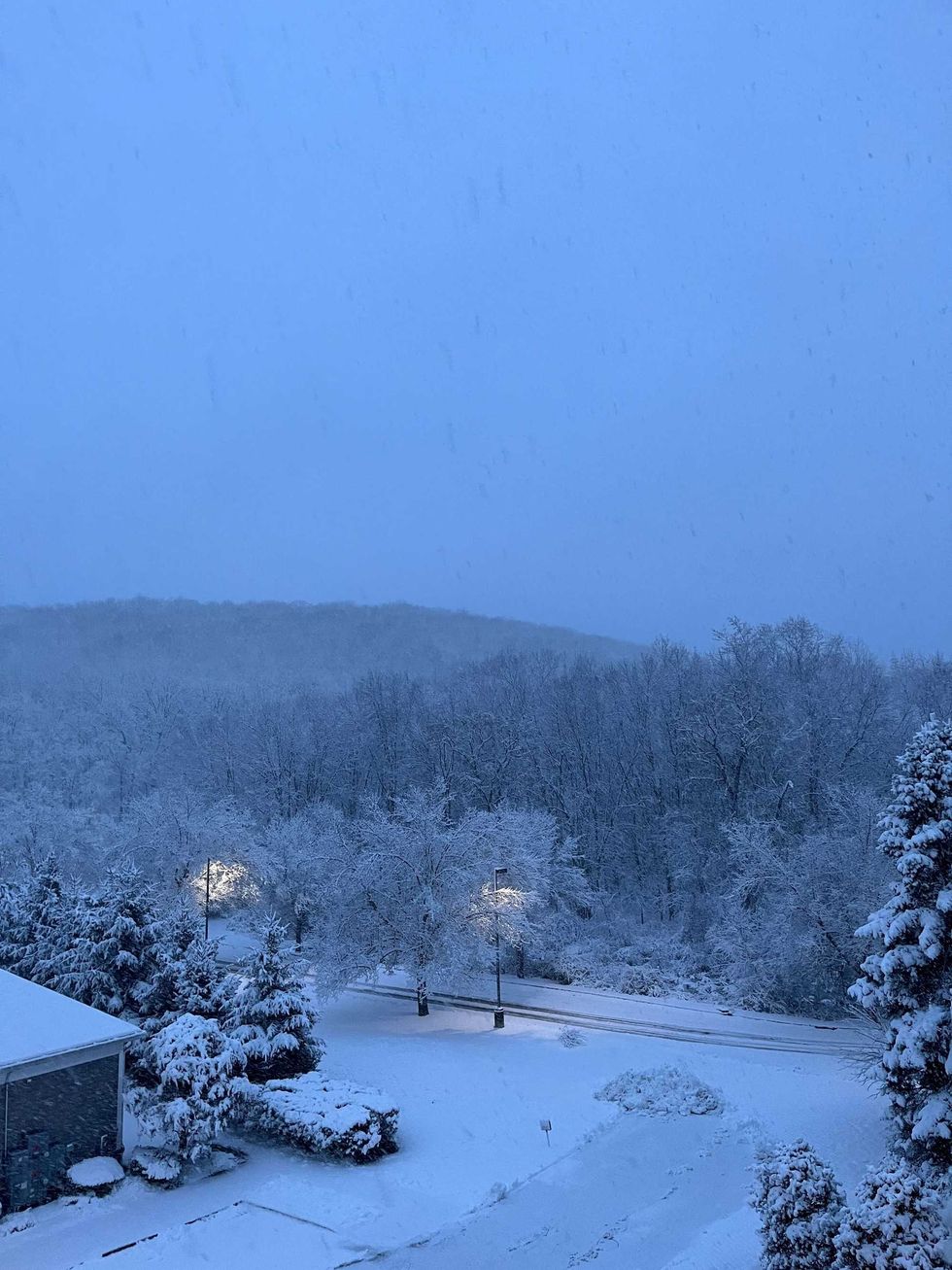 Snow falls in Bloomingdale, Passaic County, on Feb. 13, 2024