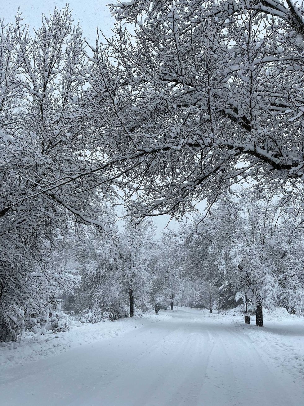 Snow falls in Bloomingdale, Passaic County, on Feb. 13, 2024