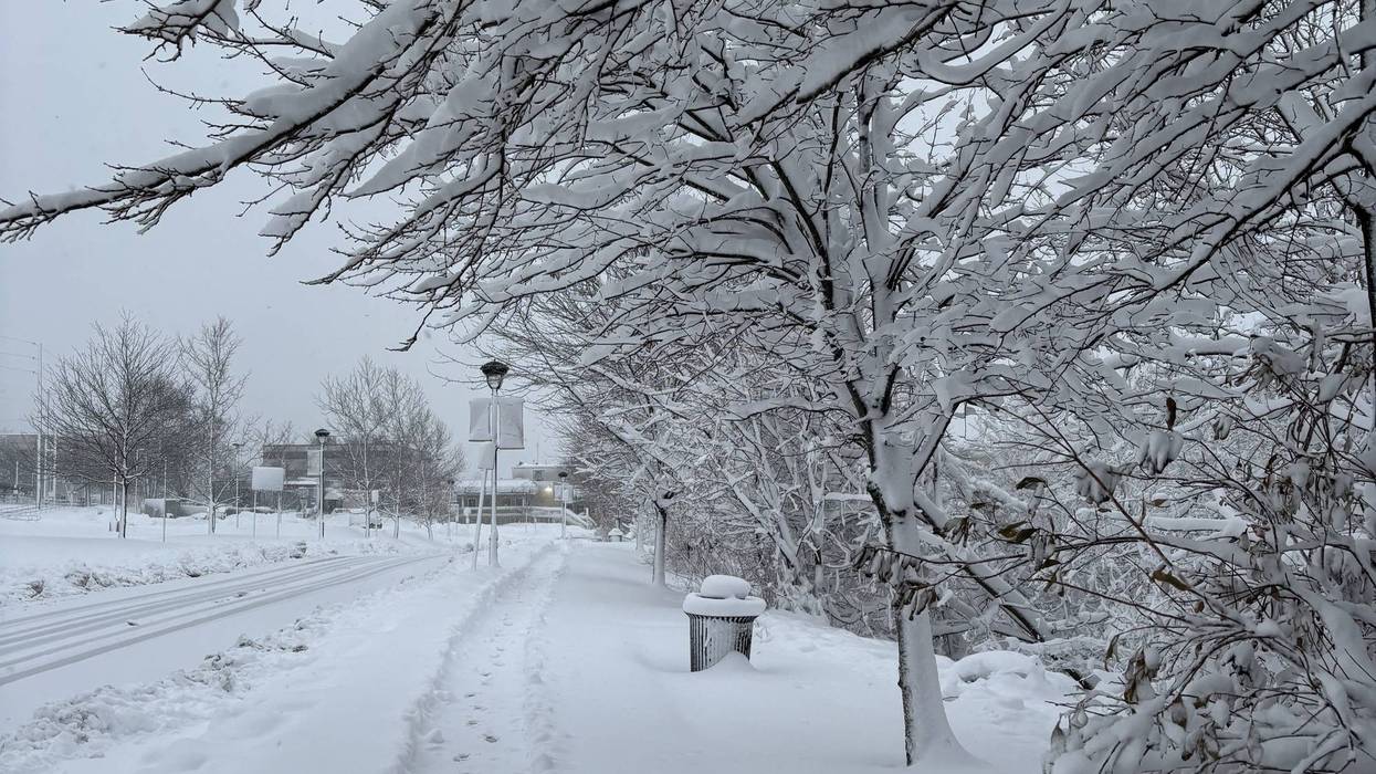 Snow falls in Willow Grove, Feb. 23, 2026.