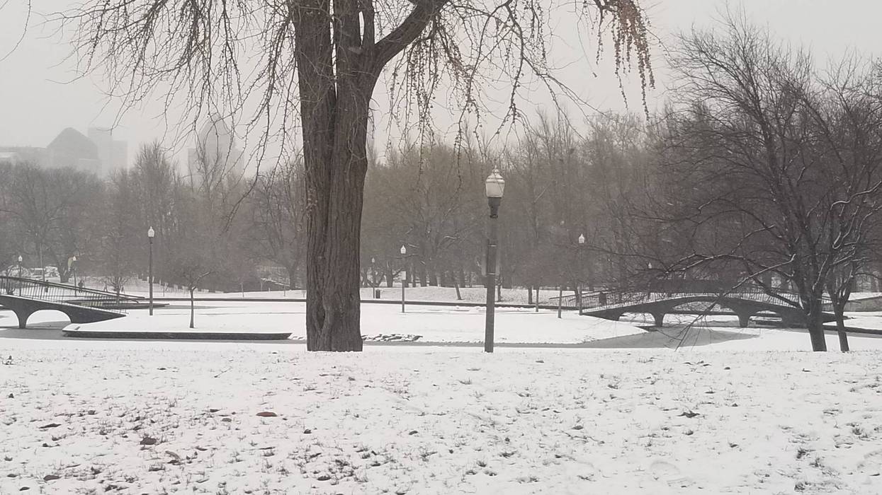 Snow in a Pittsburgh park