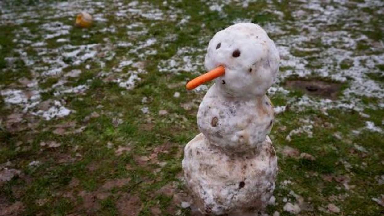 Snow Melting in New Orleans