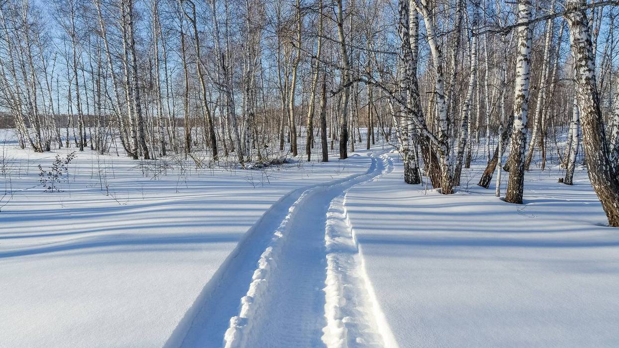 Snow mobile trail