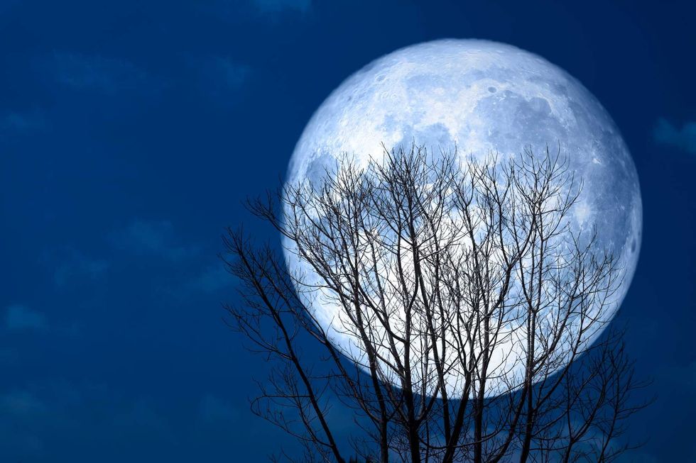 Snow Moon