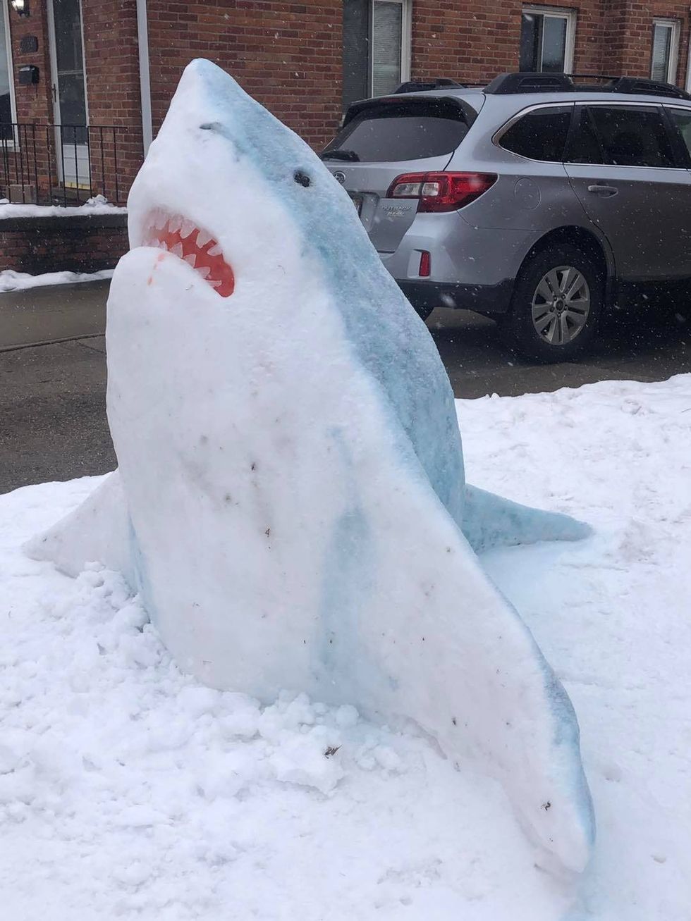 Snow shark on front lawn in Madison Heights