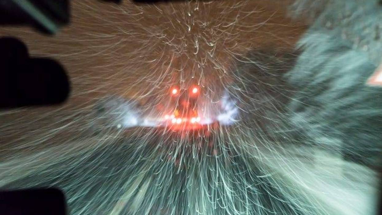 snow while driving