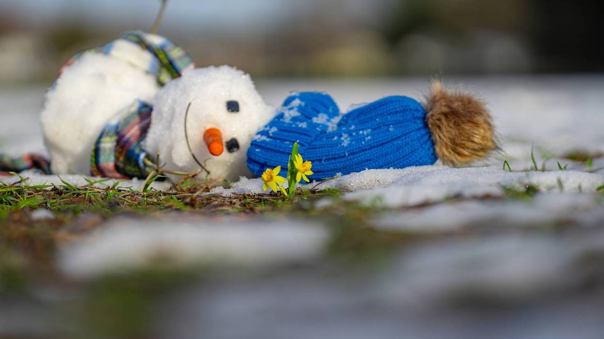 Snowman melting in warm winter or spring weather. Melted snowman as a symbol of climate change. Winter and spring seasons change. Melting snowman with puddles around it. From winter to spring.
