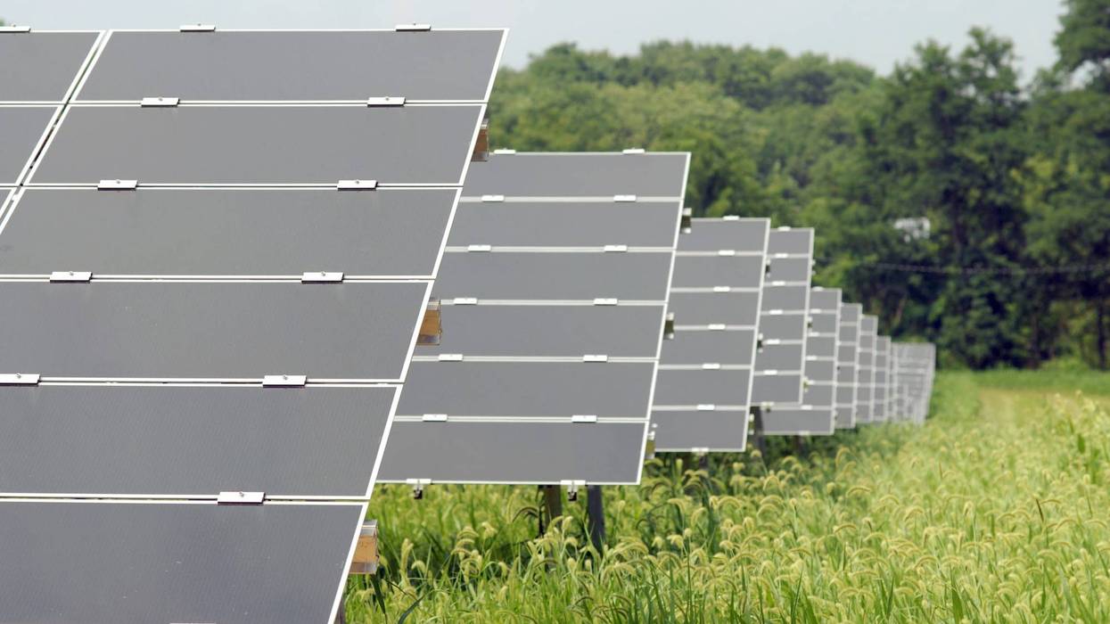 Solar panels in a field